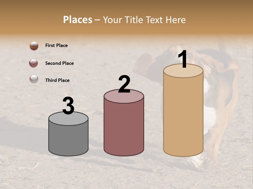 Dog Canine Athletic PowerPoint Template