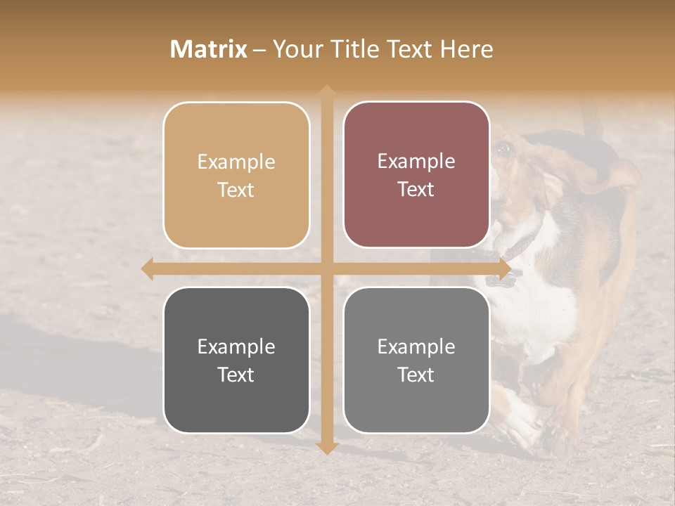 Dog Canine Athletic PowerPoint Template