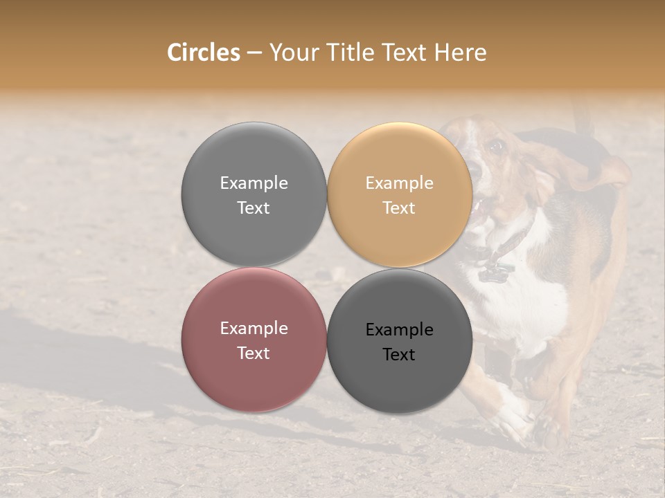 Dog Canine Athletic PowerPoint Template