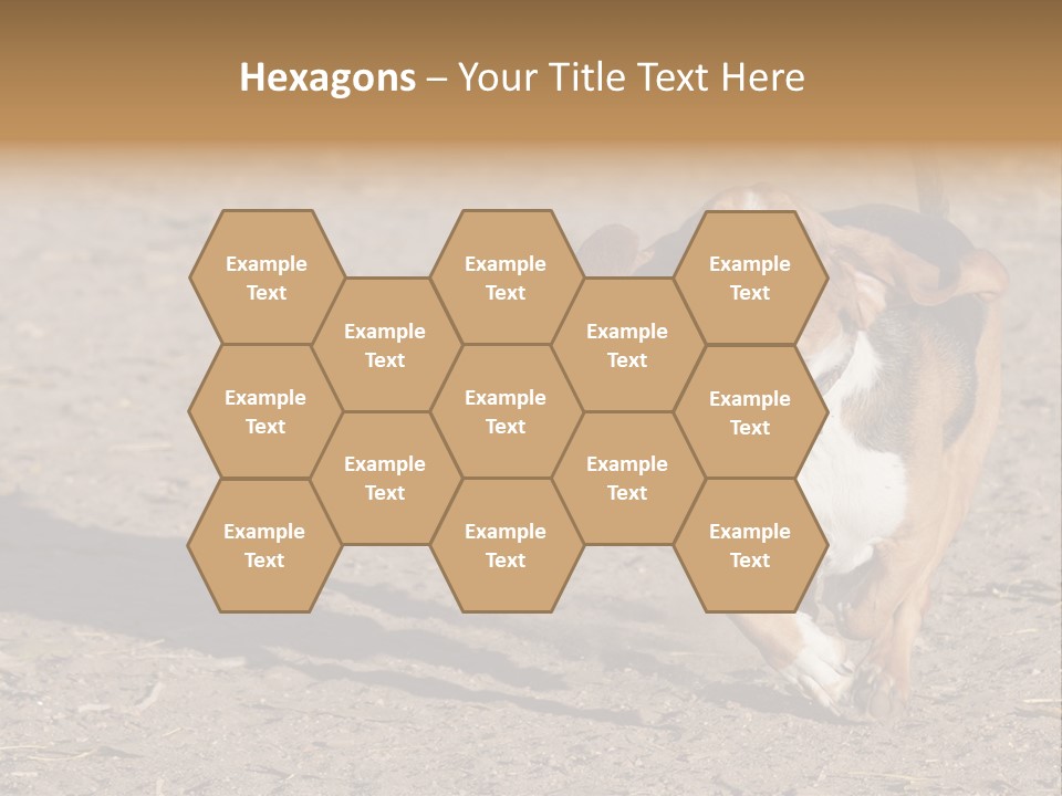 Dog Canine Athletic PowerPoint Template