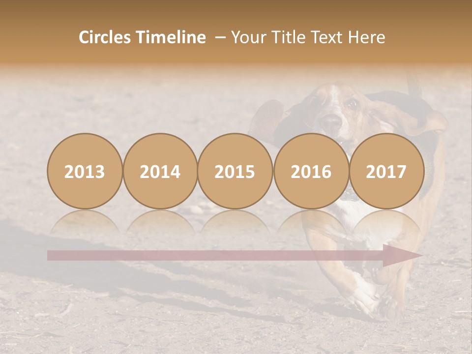 Dog Canine Athletic PowerPoint Template