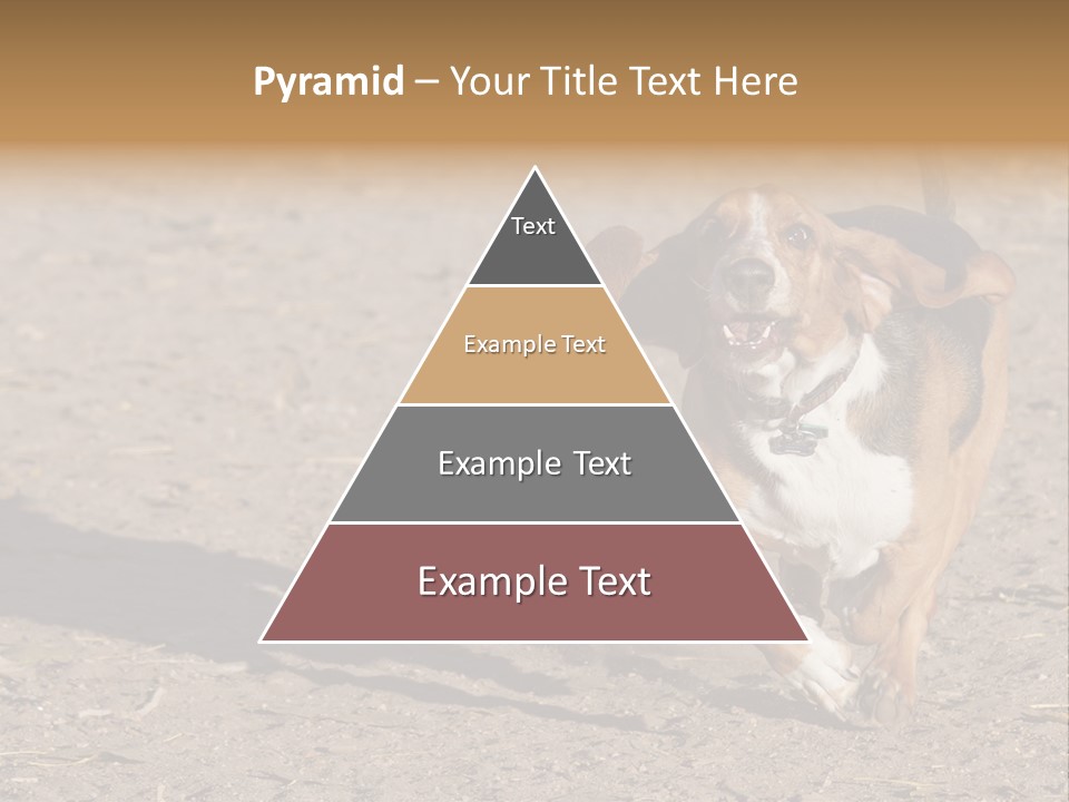 Dog Canine Athletic PowerPoint Template