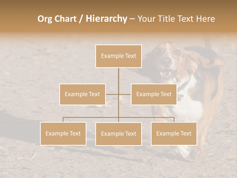 Dog Canine Athletic PowerPoint Template