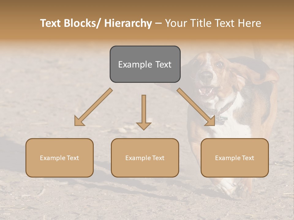 Dog Canine Athletic PowerPoint Template