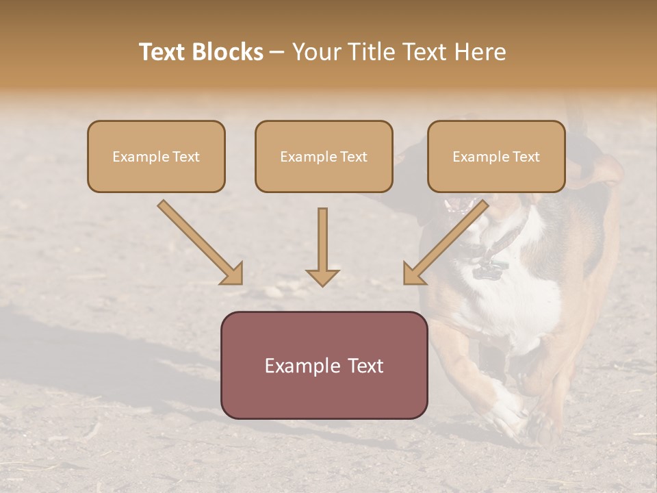 Dog Canine Athletic PowerPoint Template