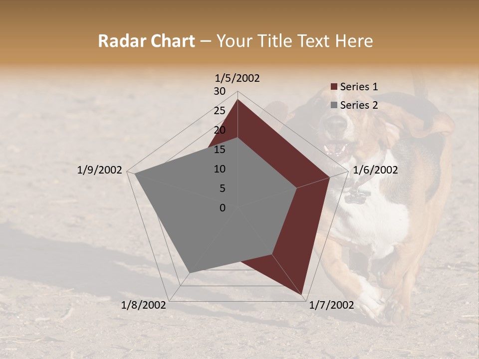 Dog Canine Athletic PowerPoint Template