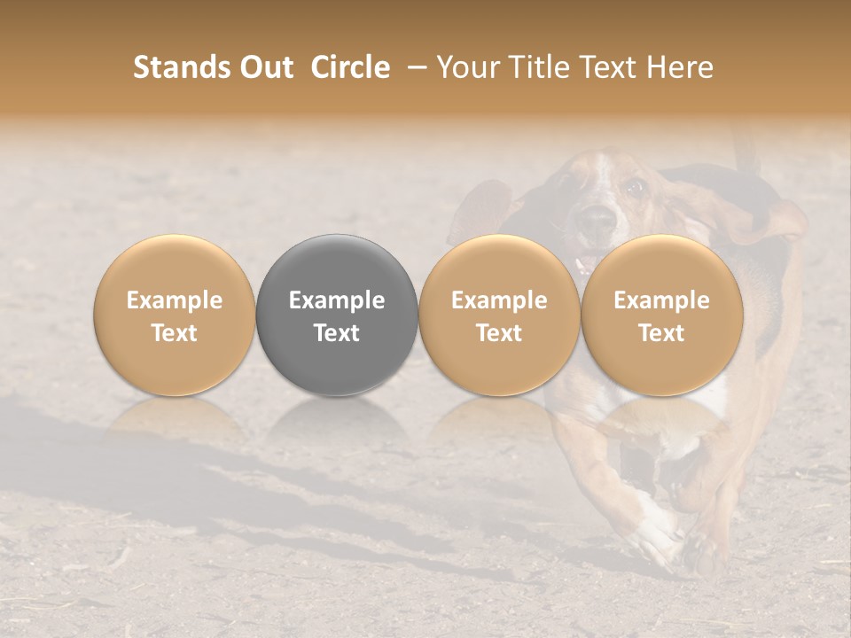 Dog Canine Athletic PowerPoint Template