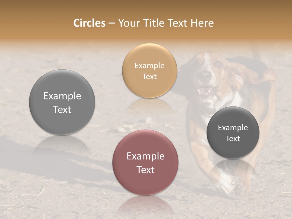 Dog Canine Athletic PowerPoint Template