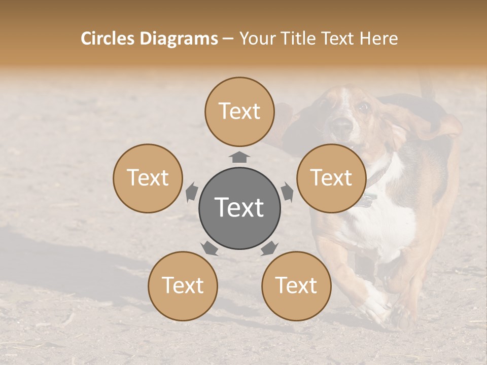 Dog Canine Athletic PowerPoint Template