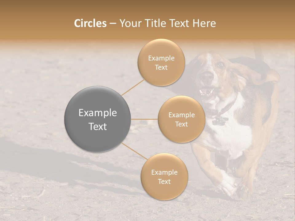 Dog Canine Athletic PowerPoint Template