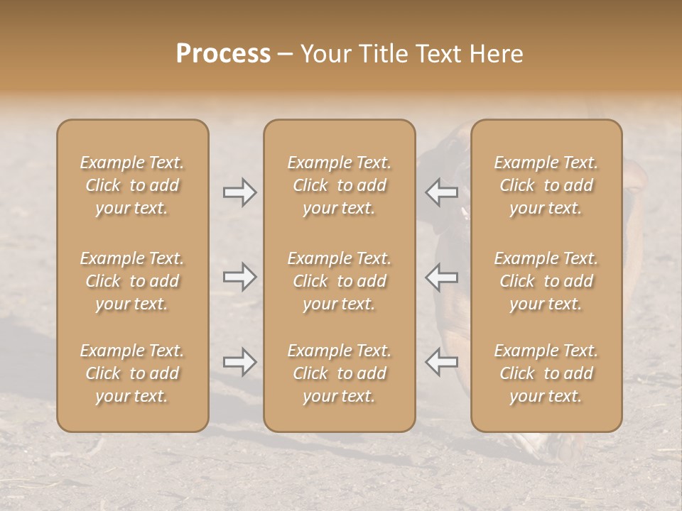 Dog Canine Athletic PowerPoint Template