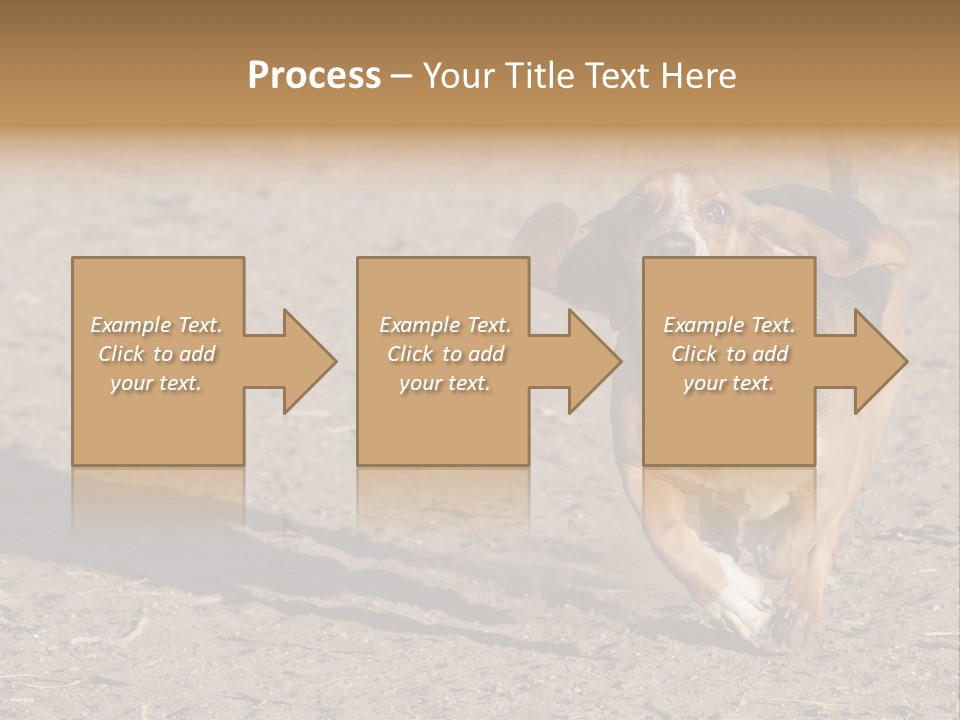 Dog Canine Athletic PowerPoint Template