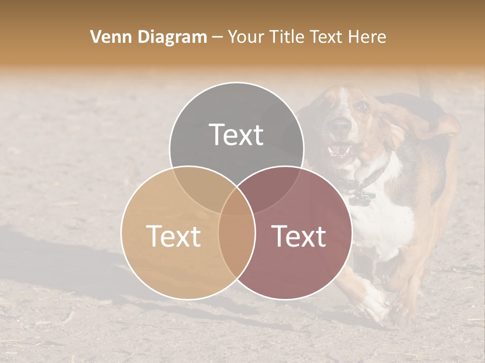 Dog Canine Athletic PowerPoint Template