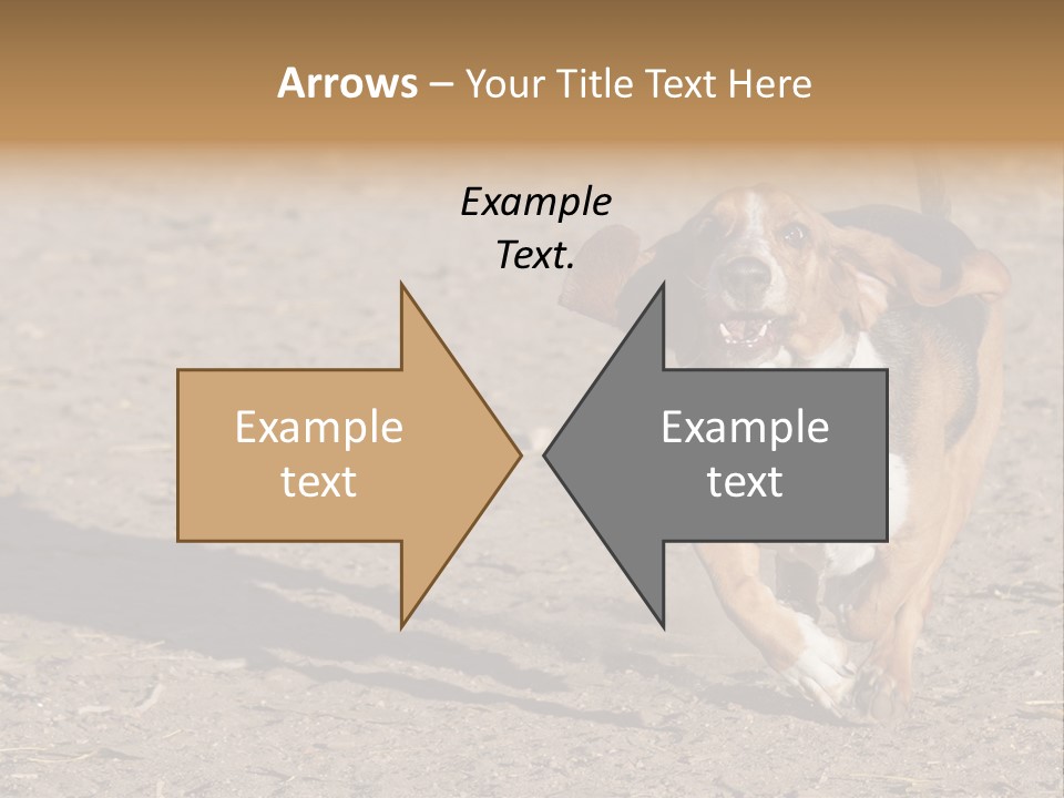 Dog Canine Athletic PowerPoint Template
