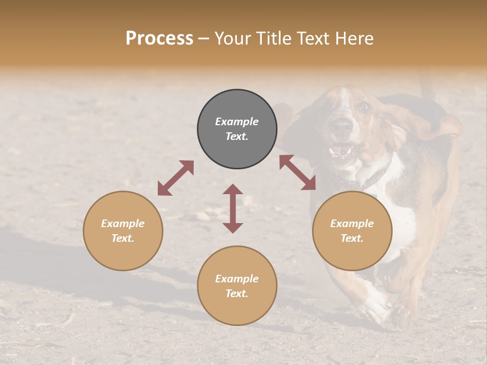 Dog Canine Athletic PowerPoint Template