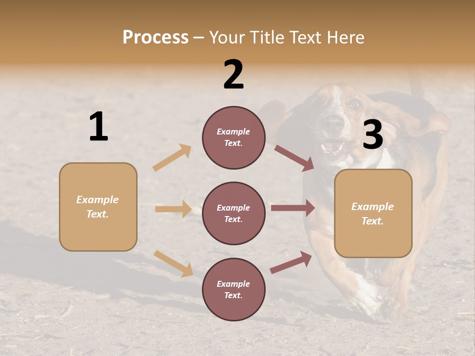 Dog Canine Athletic PowerPoint Template