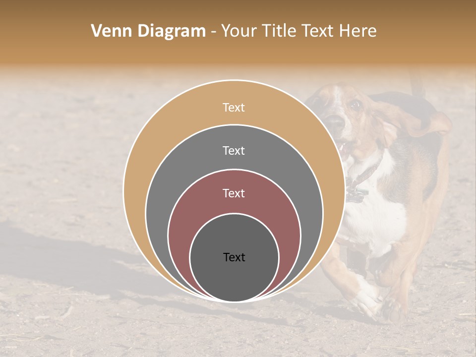 Dog Canine Athletic PowerPoint Template