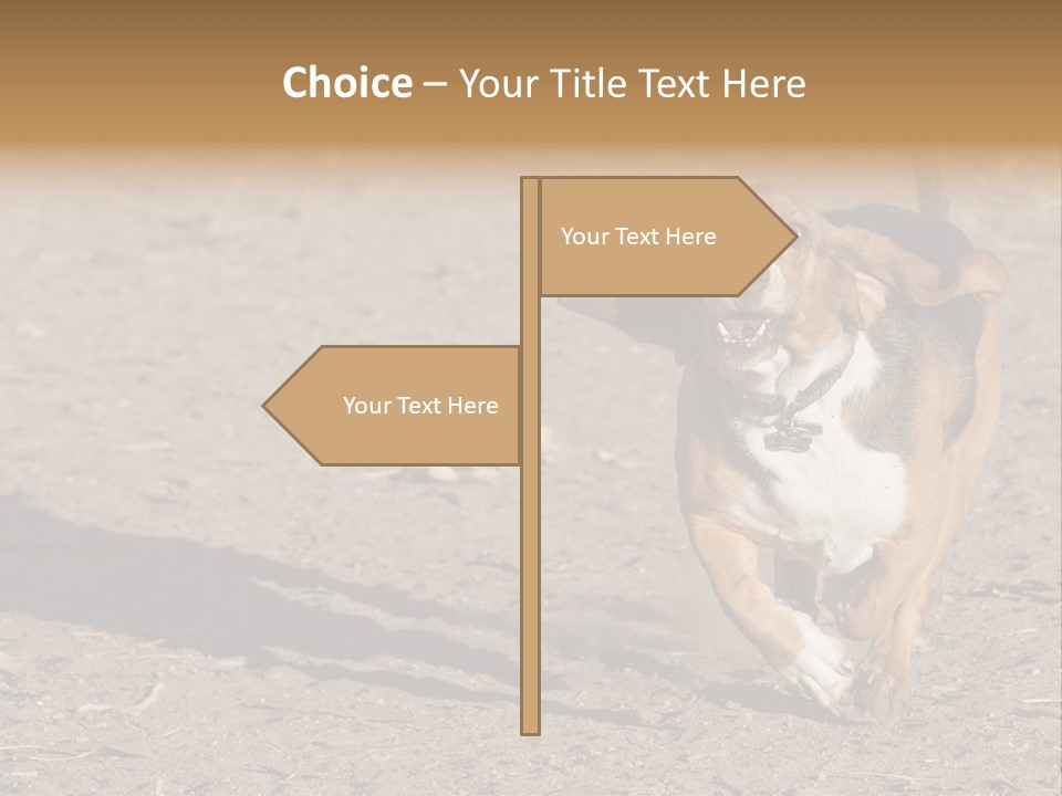 Dog Canine Athletic PowerPoint Template