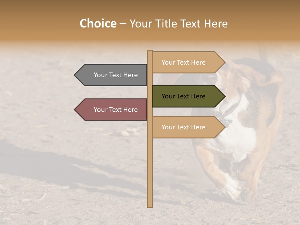 Dog Canine Athletic PowerPoint Template