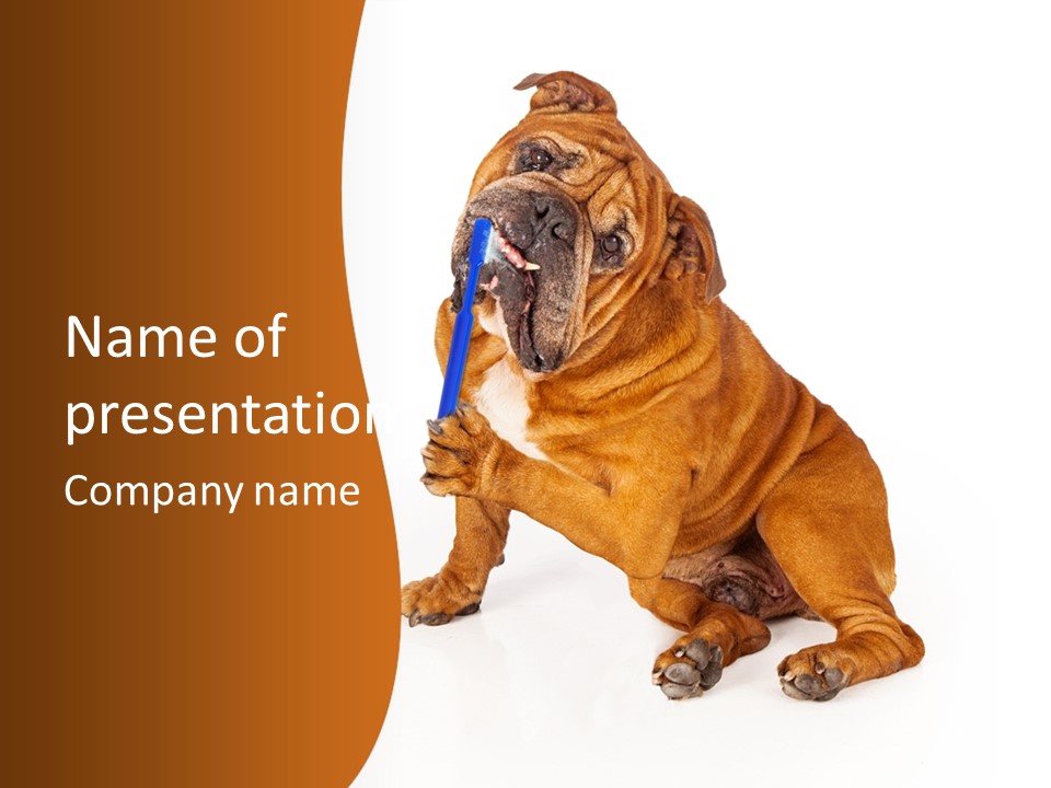Space Veterinary Big PowerPoint Template