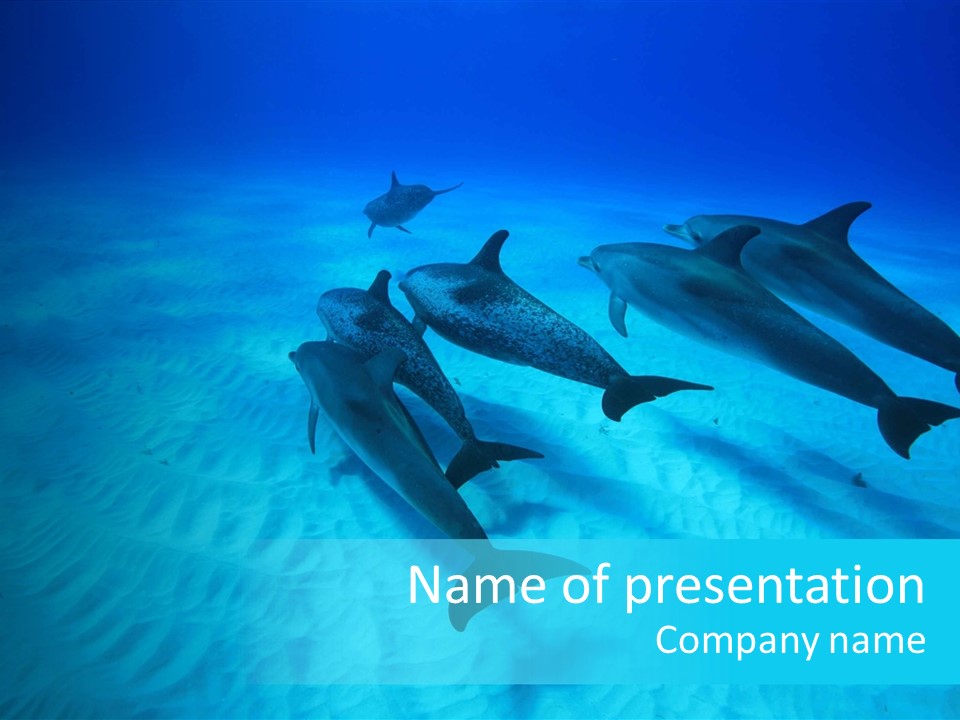 Sea Spotted Deep PowerPoint Template