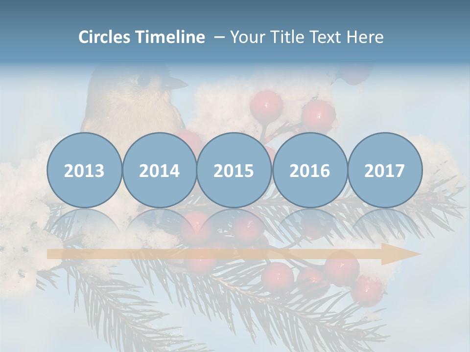 Winter Songbird Titmouse Red Winter Berries PowerPoint Template