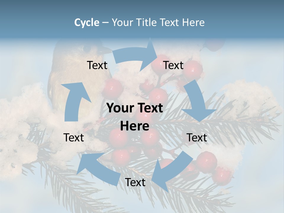 Winter Songbird Titmouse Red Winter Berries PowerPoint Template