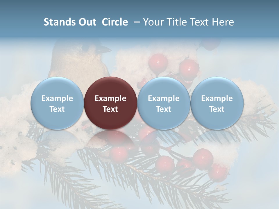 Winter Songbird Titmouse Red Winter Berries PowerPoint Template