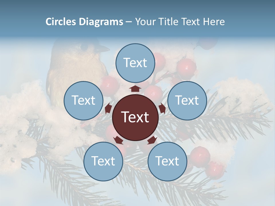 Winter Songbird Titmouse Red Winter Berries PowerPoint Template