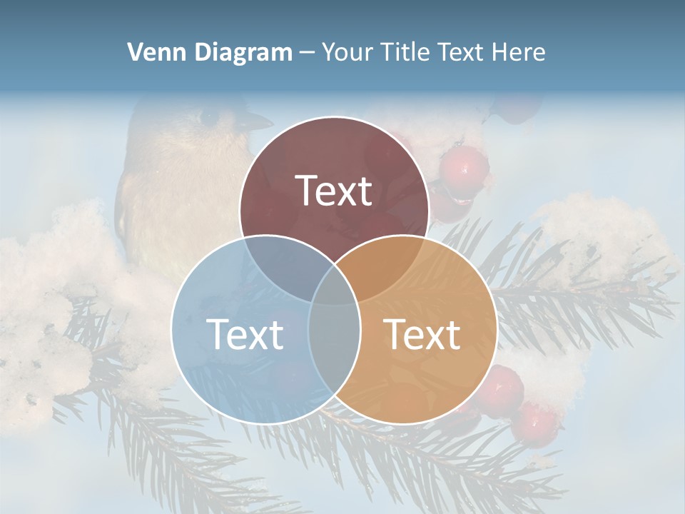 Winter Songbird Titmouse Red Winter Berries PowerPoint Template
