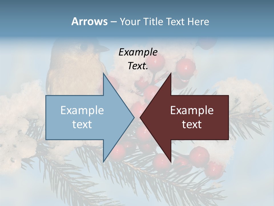 Winter Songbird Titmouse Red Winter Berries PowerPoint Template