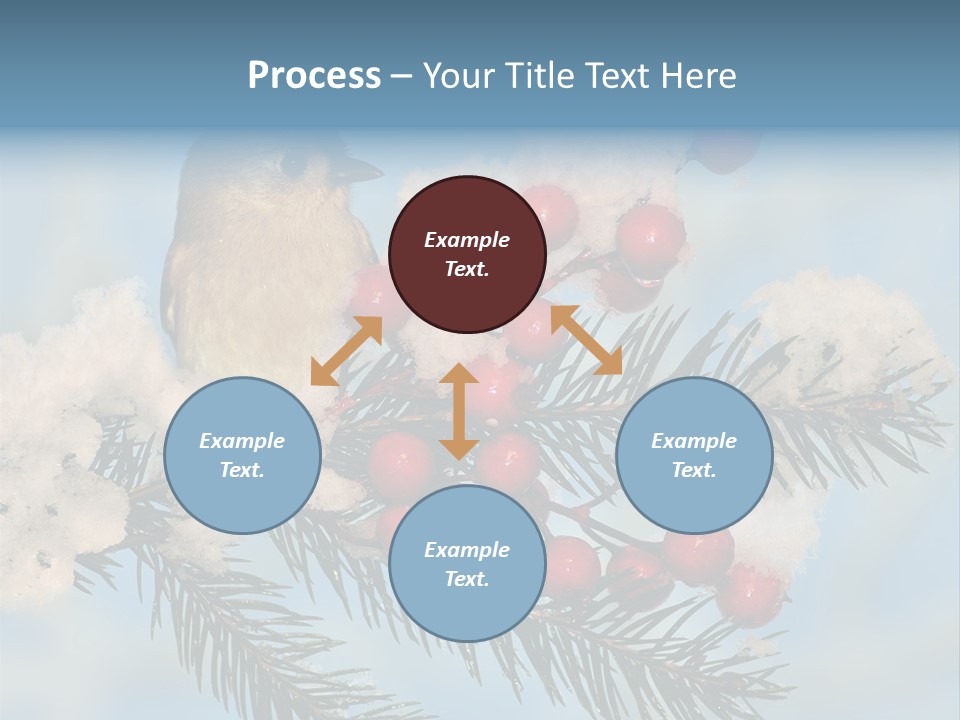 Winter Songbird Titmouse Red Winter Berries PowerPoint Template