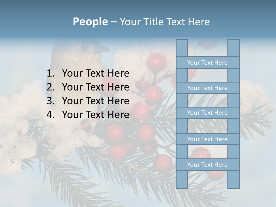 Winter Songbird Titmouse Red Winter Berries PowerPoint Template
