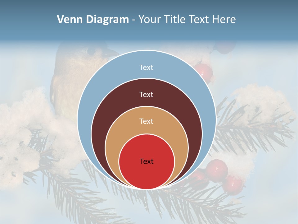 Winter Songbird Titmouse Red Winter Berries PowerPoint Template