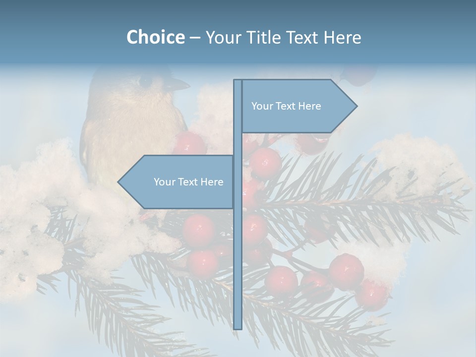 Winter Songbird Titmouse Red Winter Berries PowerPoint Template