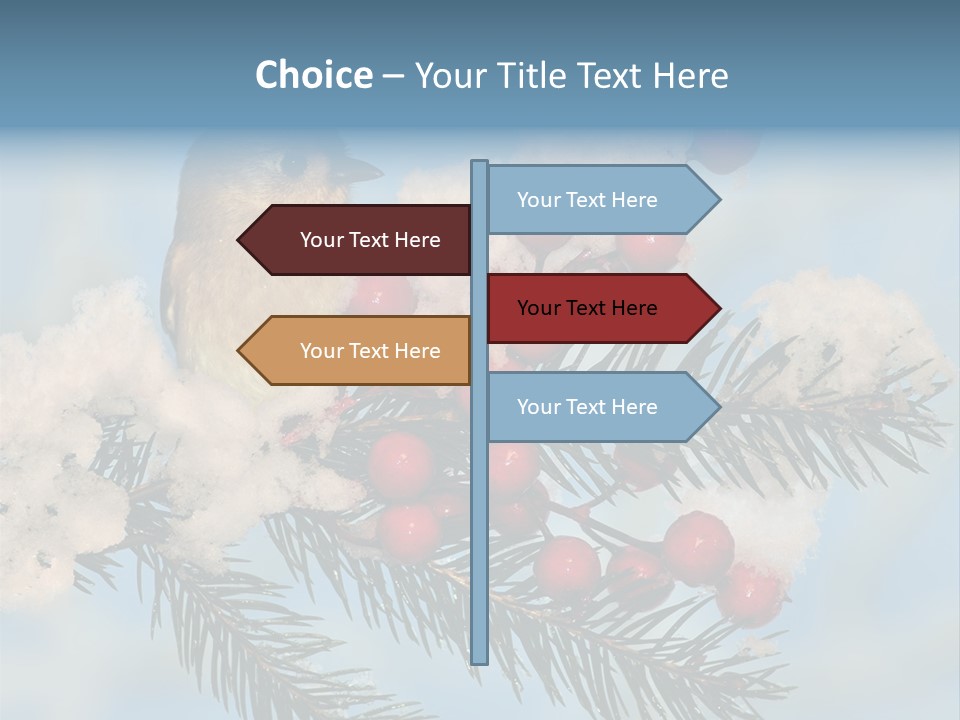 Winter Songbird Titmouse Red Winter Berries PowerPoint Template