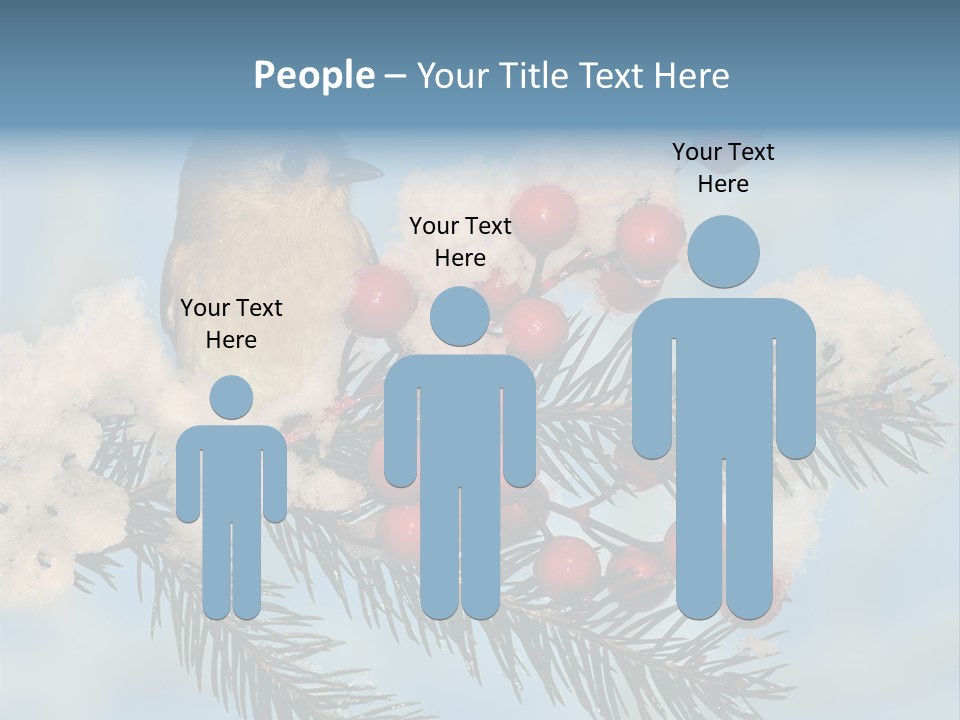 Winter Songbird Titmouse Red Winter Berries PowerPoint Template