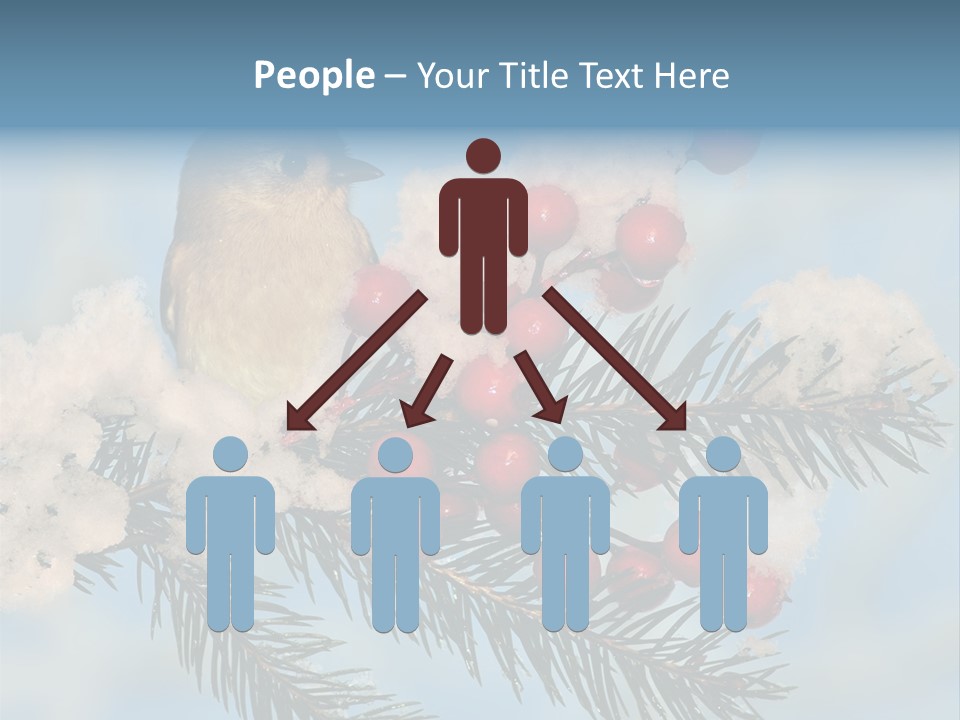 Winter Songbird Titmouse Red Winter Berries PowerPoint Template