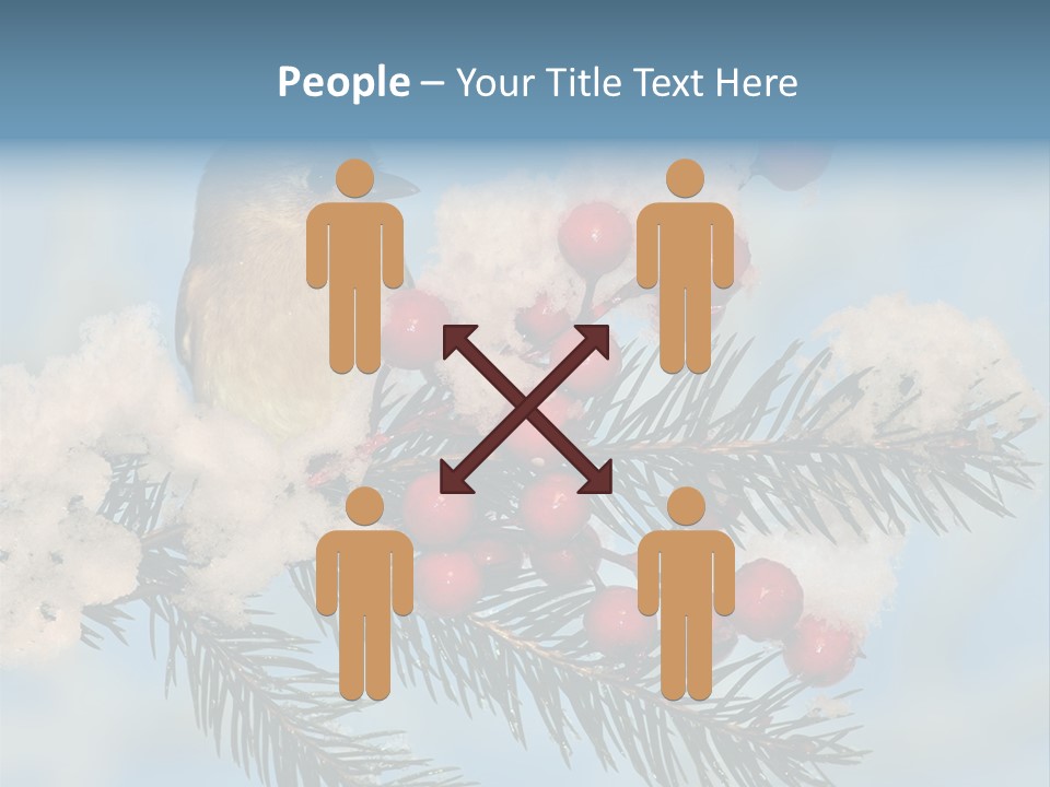 Winter Songbird Titmouse Red Winter Berries PowerPoint Template
