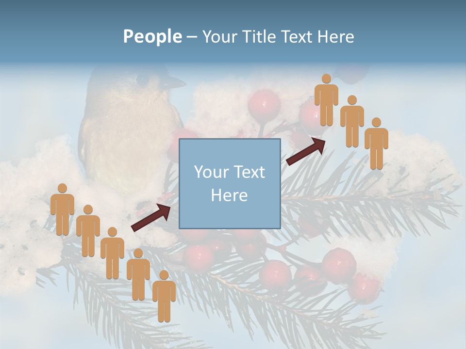 Winter Songbird Titmouse Red Winter Berries PowerPoint Template