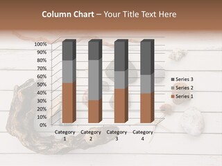 Life Wood Decor PowerPoint Template