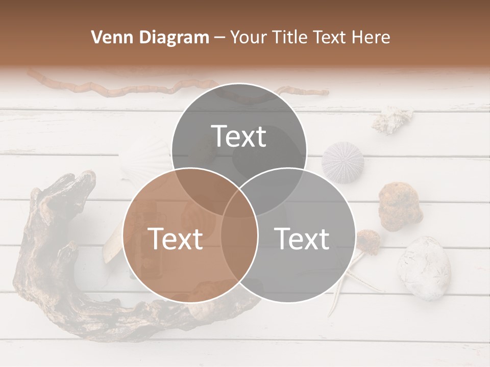 Life Wood Decor PowerPoint Template