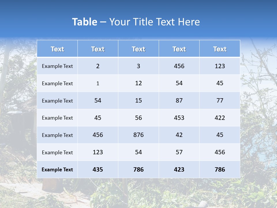 Danger Boracay Hurricane PowerPoint Template