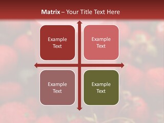 Berry Yogurt Milkshake PowerPoint Template