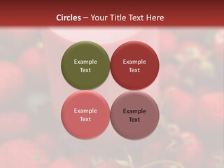 Berry Yogurt Milkshake PowerPoint Template