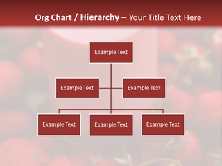 Berry Yogurt Milkshake PowerPoint Template