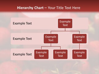 Berry Yogurt Milkshake PowerPoint Template