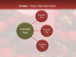Berry Yogurt Milkshake PowerPoint Template