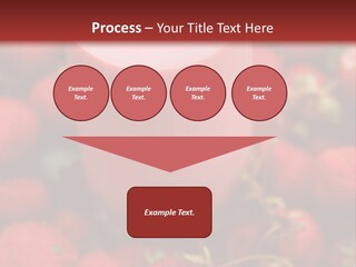 Berry Yogurt Milkshake PowerPoint Template