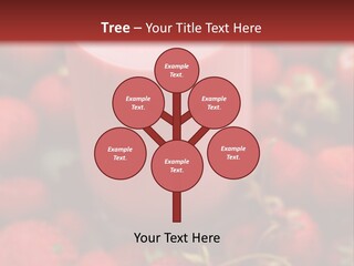 Berry Yogurt Milkshake PowerPoint Template